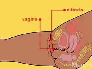 Consent Bagnate