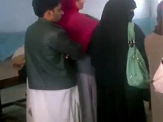 paktrying-सीए