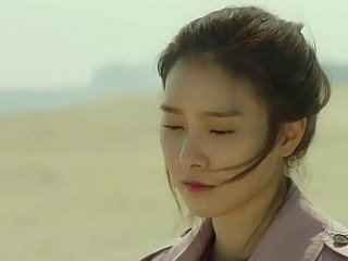상록수
