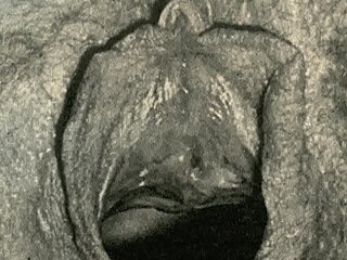 ダークランタンエンターテインメントは、私の秘密の生活、ビクトリア朝のイギリス人紳士のエロティックな自白から「ビンテージクローズアップ」を提示します