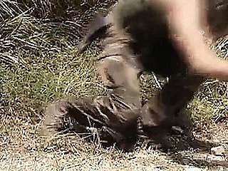 Crimes Seks Melee Crimes (1995)