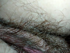 Pussy mi esposa de nuevo.