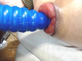삽입