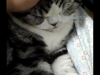 Kata-kata yang bagus