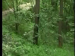 Jebacina na Avali serbio-Srpski Por KRMANJONAC