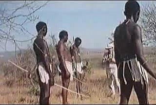 قضبان هائلة الأفريقية! السفاري الحقيقي!