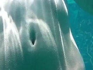 Japanische Softcore-135