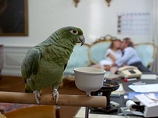 Carino 80s bionda with calze nere d'epoca fa classico pompino profondo